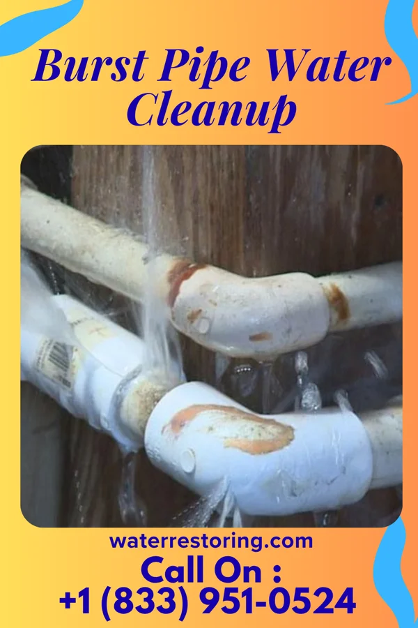 Burst Pipe Water Cleanup in Warren, MI