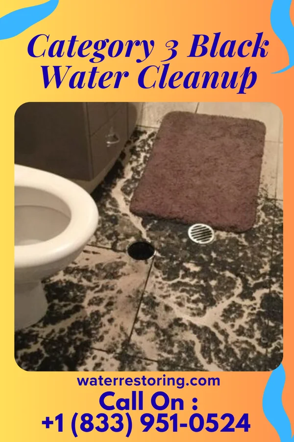 Category 3 Black Water Cleanup in Warren, MI