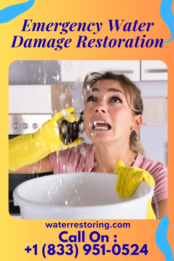 Emergency Water Damage Restoration in Warren, MI