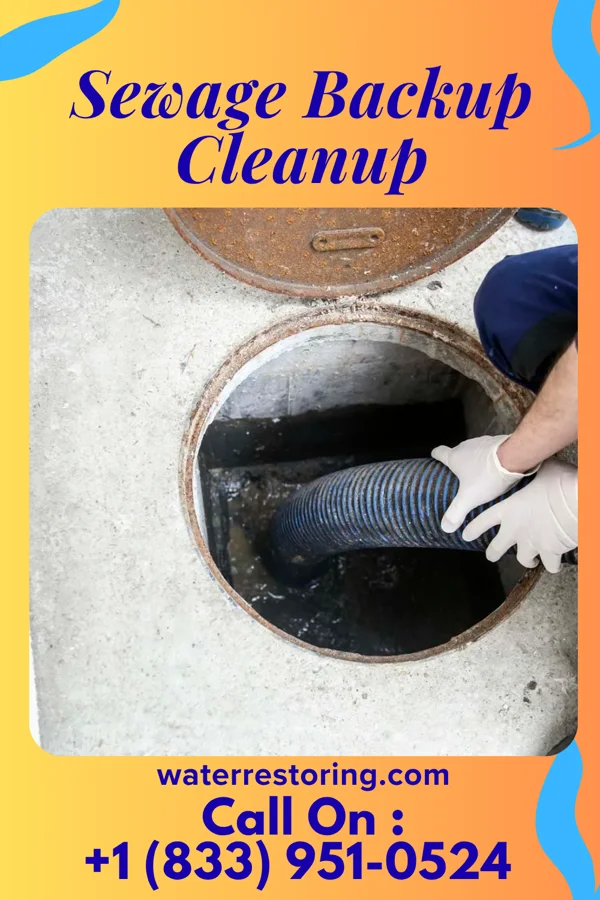 Sewage Backup Cleanup in Warren, MI